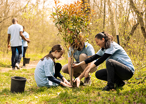 Environmental Humanities